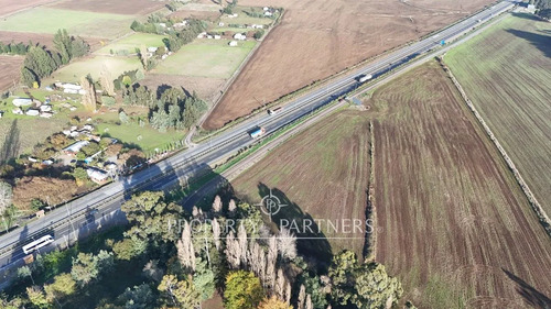 Terreno Excelente Ubicación Ruta 5 Sur Perquenco.