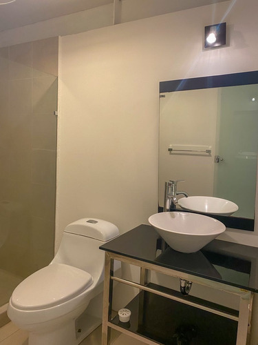 Imagen 10 de 25 de Departamento En Renta En Arquimedes, Polanco