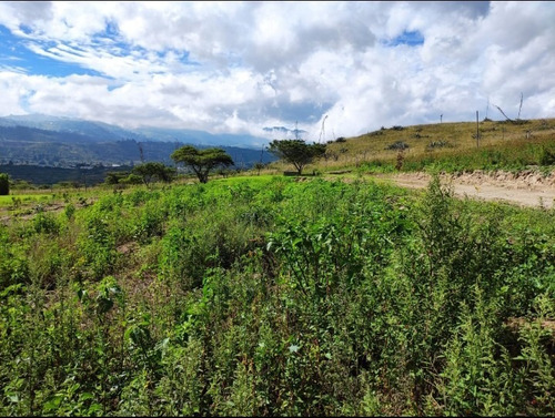 Imagen 4 de 4 de Hermosos Terrenos (chaquibamba-guayllabamba) Último Lote