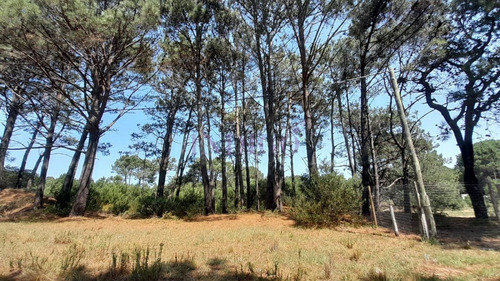 Imagen 13 de 16 de Venta De Lote En Barra Verde, La Barra, Uruguay - La Barra Barra Verde