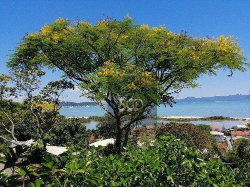 Imagem 12 de 20 de Terreno À Venda, 400 M² Por R$ 690.000,00 - Ponta Das Canas - Florianópolis/sc - Te0227