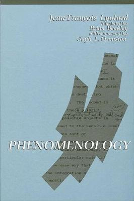 Libro Phenomenology - Jean-francois Lyotard