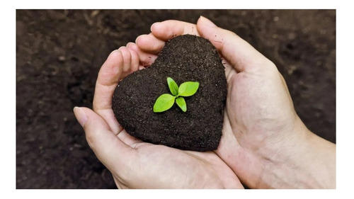 Imagen 6 de 10 de Fibra De Coco + Humus Juani Juana 25l Cultivo Cogoshop