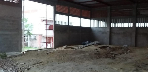 Imagen 5 de 7 de Bodega Industrial - Villa Rosita