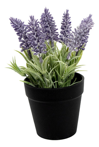 Kit 3 Planta Lavanda En Maceta Plástico Interior Hogar 20cm