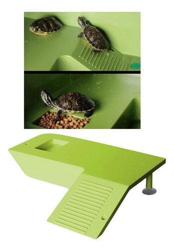 Accesorios Para Tanques De Tortugas Plataforma Para Verde
