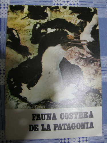 Fauna Costera De La Patagonia