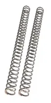 Comprar Brava Nevada 125 Tuning Sp Resorte Suspension Delantera Jgo