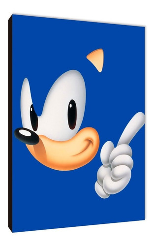 Cuadros Poster Videojuegos Sonic Xl 33x48 (nic (3)