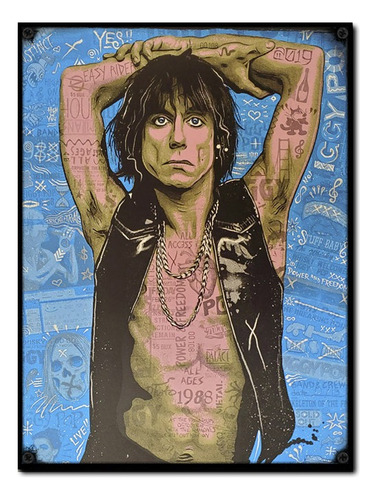 #1442 - Cuadro Decorativo - Iggy Pop Música Rock Poster 