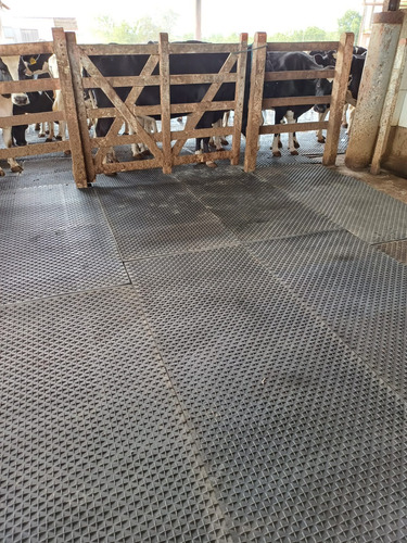 Piso Em Borracha Para Sala De Ordenha Fosso Corredor Equino