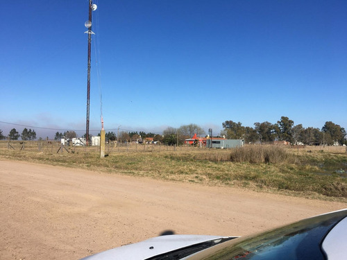 Imagen 5 de 11 de Terreno 20x50 En Tres Sargentos, Carmen De Areco