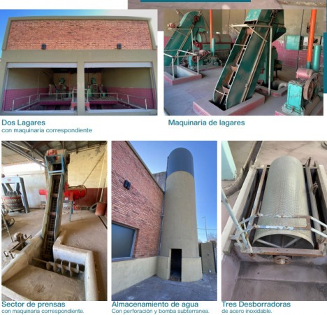 Imagen 19 de 19 de Excelente Oportunidad En San Rafael Se Vende Bodega