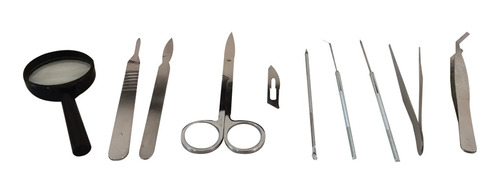 Kit De Disección Seg575 Color Variado