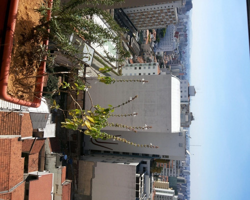 Imagem 8 de 8 de Apartamento - Mo128 - 33194767