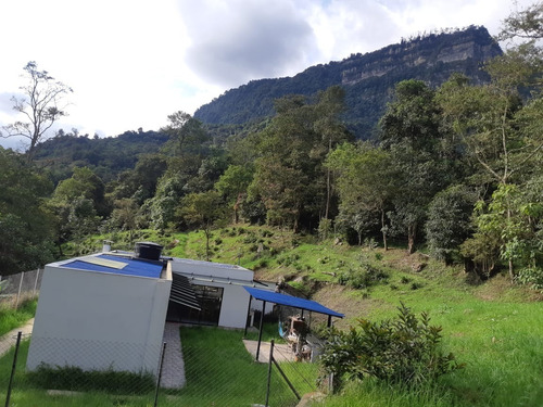 Imagen 12 de 14 de Espectacular Finca De Descanso, Muy Cerca A Bogota