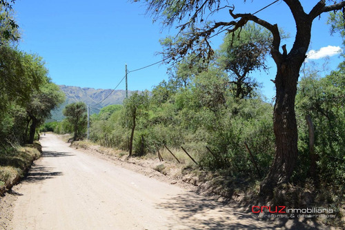 Imagen 6 de 14 de Lotes De 1001m2 Céntricos En Carpintería
