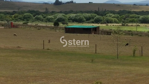 Venta Chacra 5 Dormitorios, Camino Sierra Del Carapé, Maldonado