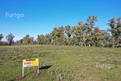 Terreno En Rosario