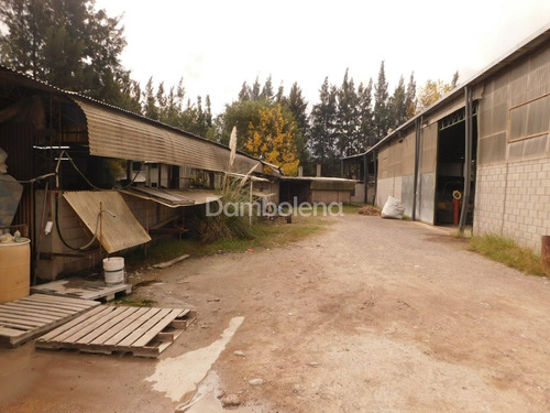 Imagen 20 de 30 de Depósito En Alquiler Ubicado En Trujui, Moreno, G.b.a. Zona Oeste