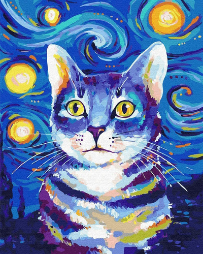 Pintura Al Oleo Por Numeros Gato Estrellado 40x50cm Diy