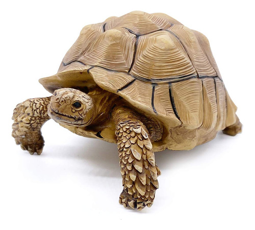 Colección De Figuras De Estatua De Tortuga Sulcata Para Deco