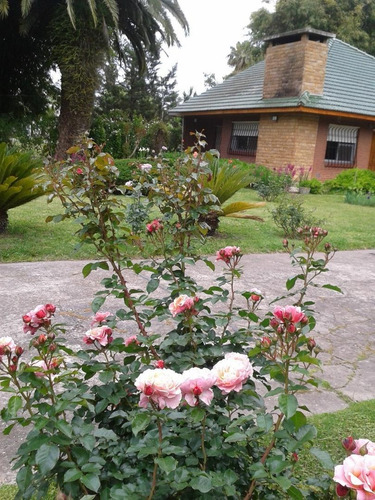 Imagen 2 de 20 de Casa Lote 3000m2 Quincho Tenis Barrio La Celia, Ezeiza