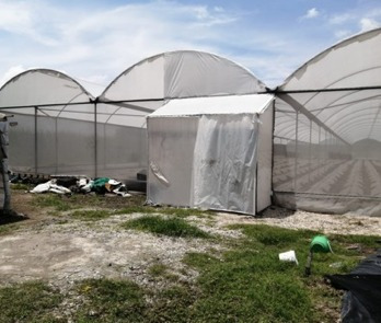 Imagen 8 de 12 de Venta Terreno Yautepec Morelos