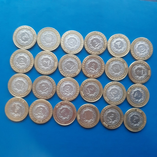 Monedas Antiguas Argentina 2 Pesos X 24 Año 2016 Money Argen