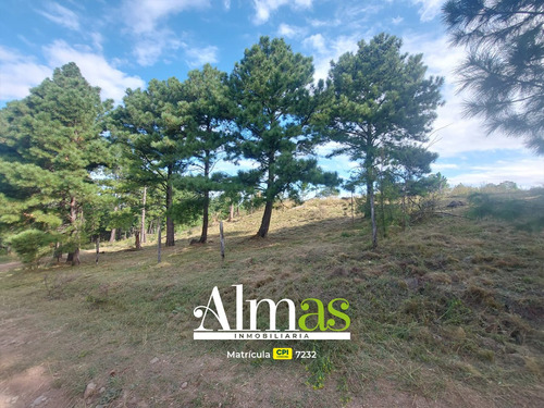 Excelente Oportunidad! Terreno De 11.082mts2 C/agua Vertiente Permanente, Arboleda Autóctona, Ideal Complejo Turístico. Escrituración Inmediata!!