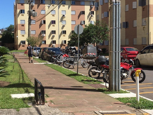 Imagem 6 de 15 de Apartamento - Rubem Berta - Ref: 341786 - V-341786
