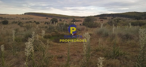 Imagen 11 de 12 de 5 Hectáreas, Entrega 8.000 Y El Saldo En Cuotas De 593 U$s