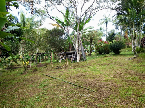 Imagem 6 de 13 de Chácara Com 3 Lagos Campo De Futebol Piscina Área De Churrasco