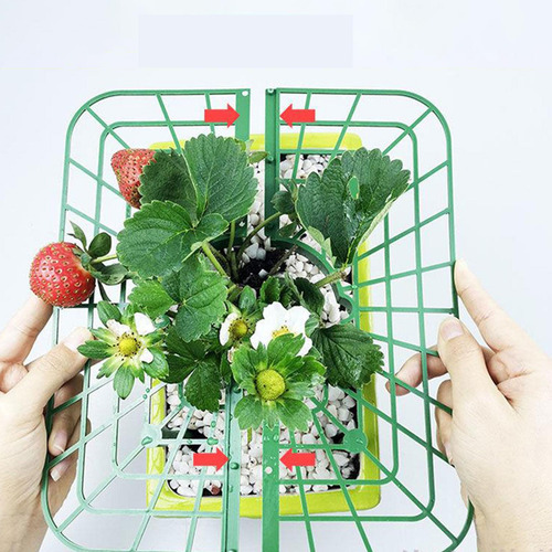 10 Soportes Para Plantas De Fresa, Kit De De Fresas Para