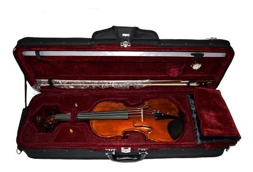 Violin 4/4 Macizo Hecho A Mano Tapa Pino Stradella Mv141944 