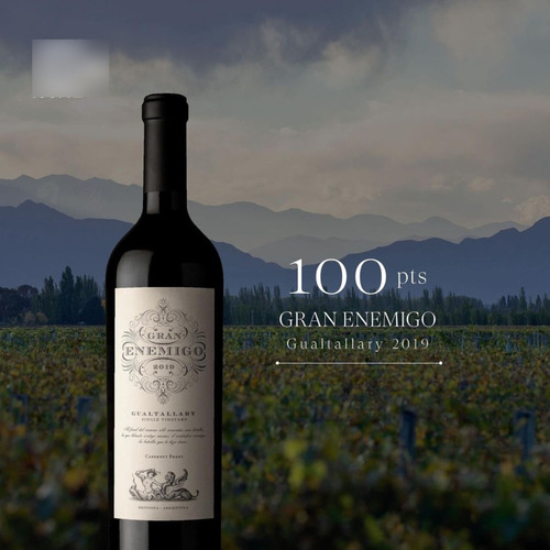 Imagen 2 de 10 de Vino Gran Enemigo Gualtallary Cabernet Franc 2019. 100 Pts