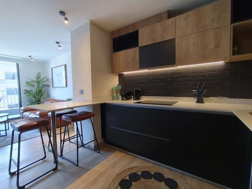 Arriendo Departamento Amoblado Exclusivo Sector Providencia