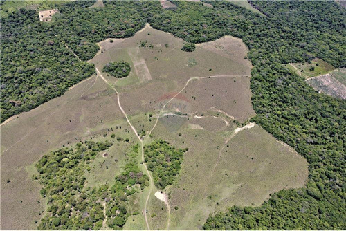 Imagen 3 de 14 de Vendo Estancias De 816 Hectáreas En Caaguazú