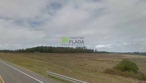Imagen 2 de 11 de Buena Fracción Con Arroyo Sobre Ruta 9