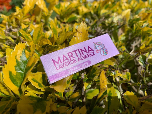 Imagen 4 de 4 de Etiqueta Marquilla Uniforme Colegio Personalizada 20 Und