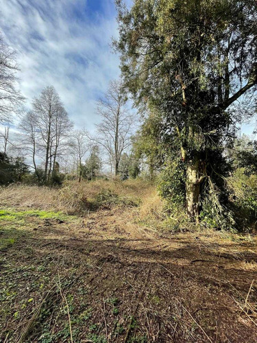 Parcela 6300m2 Arboles Nativos (105986)