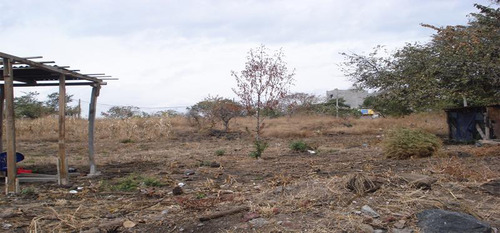 Terreno - Lomas De Trujillo