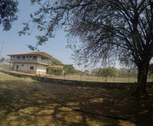 Imagen 12 de 20 de Hato En Edo. Guárico De Ganado Cebú En Venta