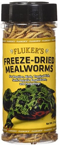 Flukers Freezedried Mealworms