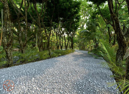 Preventa De Terreno 450 M2 A 8 Minutos De Playa Sisal Yucatàn