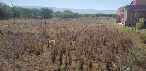 Imagen 5 de 6 de Lote De 532 M2 En Estación Conlara