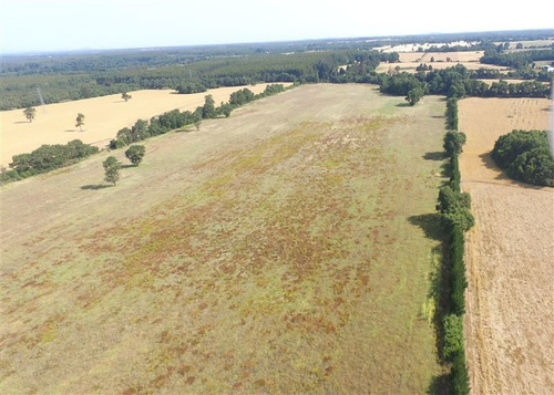 Imagen 14 de 15 de Agrícola En Venta En Ercilla