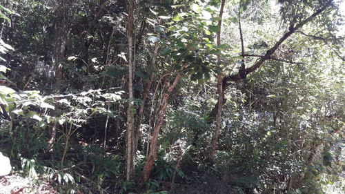 Imagem 2 de 3 de Terreno, Parque Sinai, Santana De Parnaíba - R$ 125 Mil, Cod: 235303 - V235303