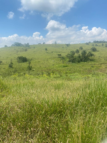 Imagem 6 de 14 de R16- A Venda Em Jacareí,lotes Com Excelente Topografia