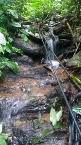 Imagem 5 de 17 de Chácara Com Riacho, Pomares De Arvores Frutíferas E Pés De Banana E Com Com 171.500 M² De Área Total, Em Miracatu Ref: 8564/ac